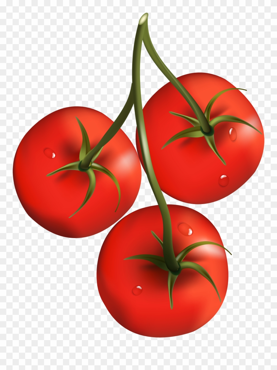 Tomato Clipart Transparent Background - Png Download