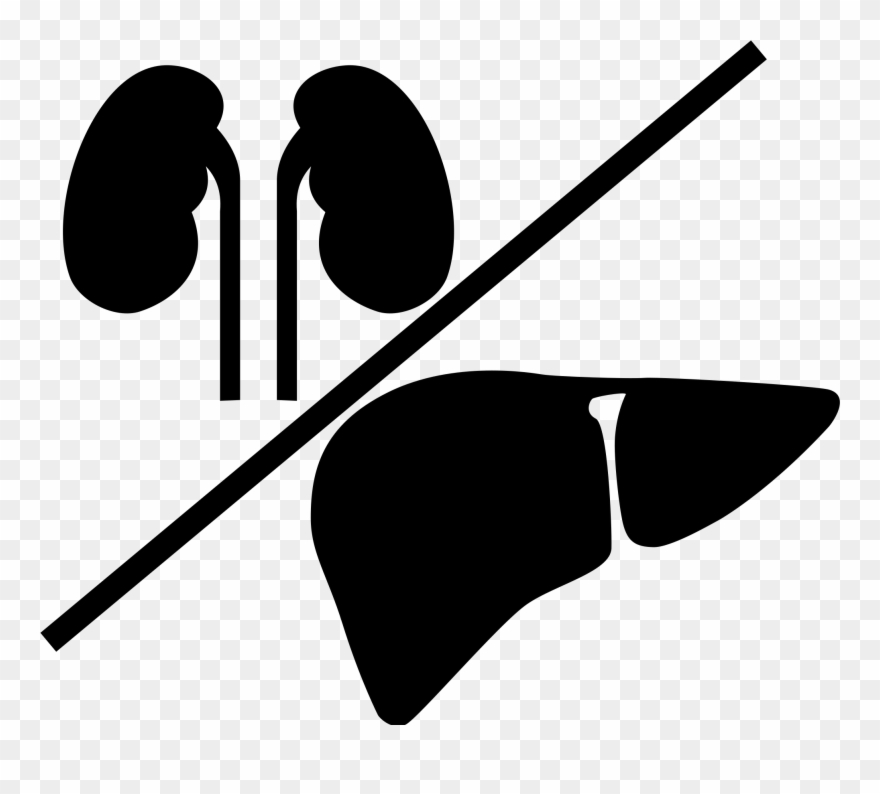 Open - Liver Kidney Clip Art - Png Download