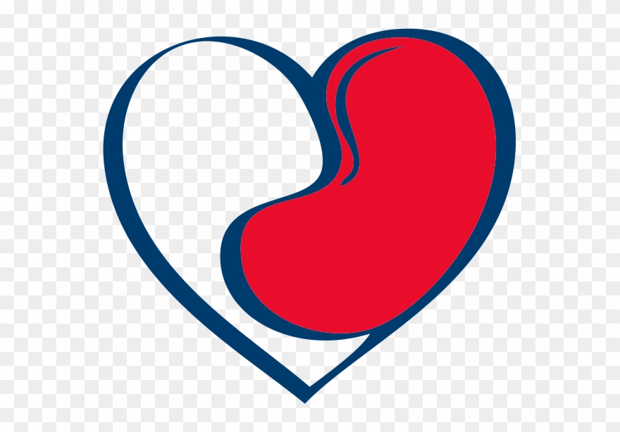 Kidney Clipart Pair - Kidney In A Heart - Png Download