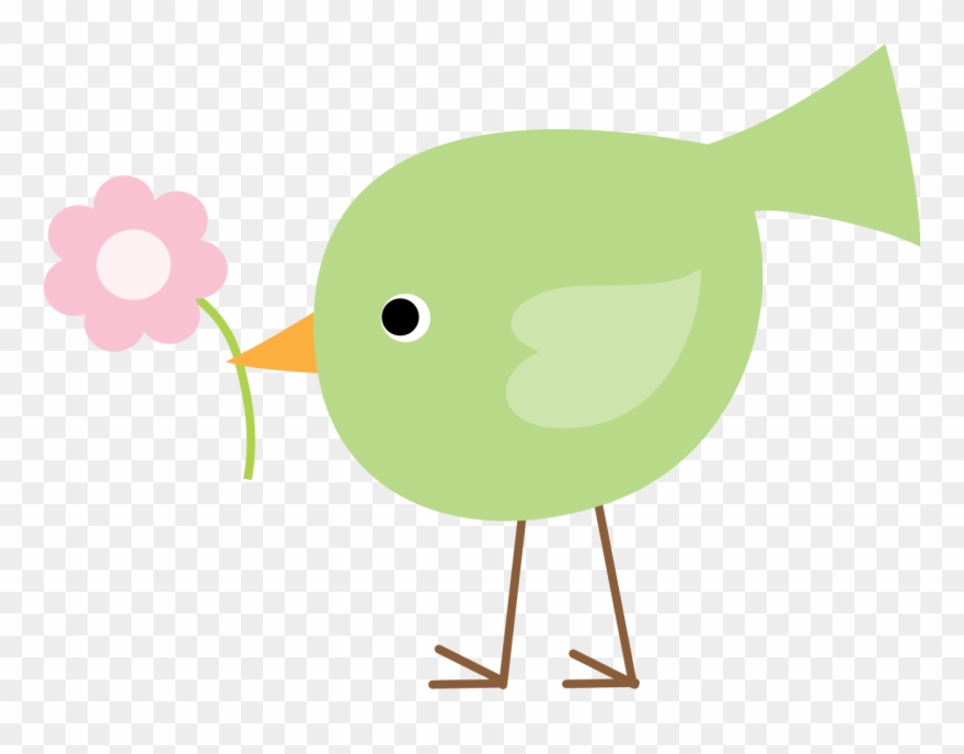 Kiwi Clipart Cute - Passarinho Minus - Png Download