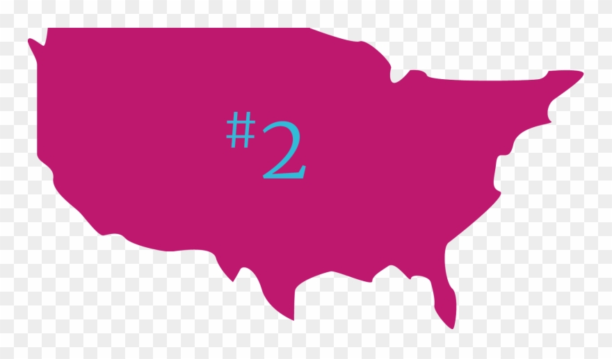 Liver Clipart Cirrhosis - Usa Shape Black - Png Download