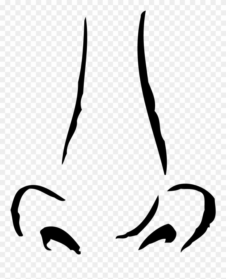 Cartoon Nose Clip Art - Nose Png Transparent Png