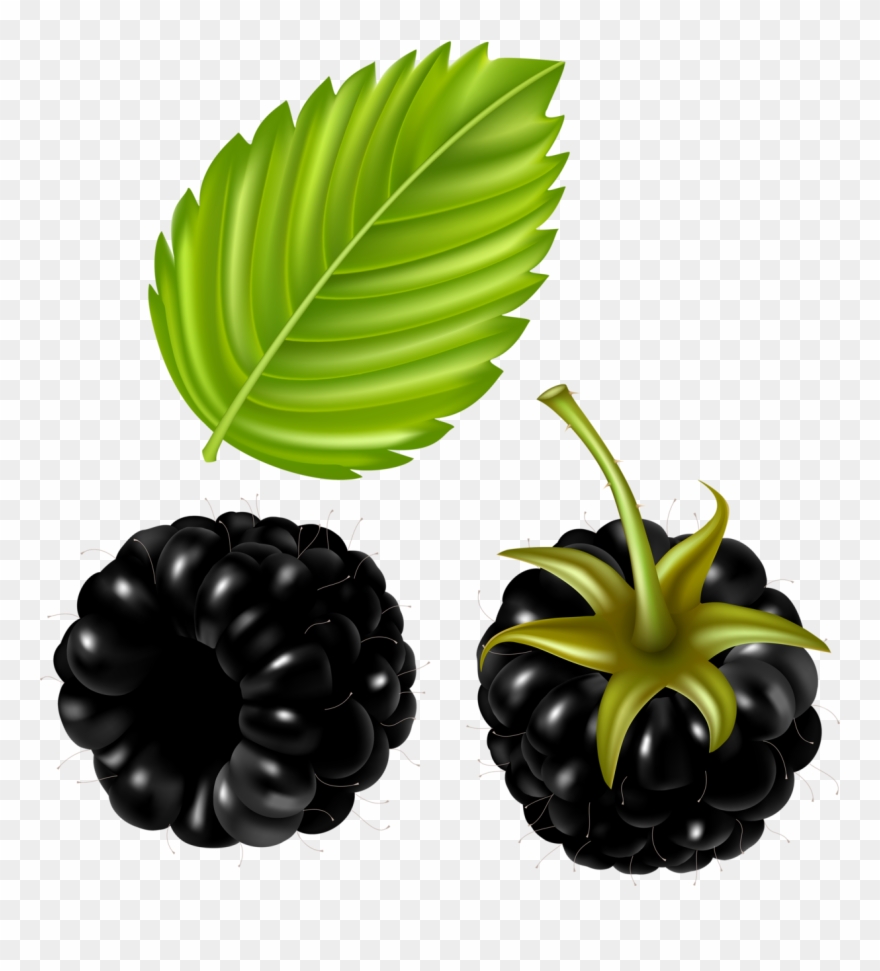 Фотки Fruits And Vegetables, Watermelon, Fruit Clipart, - Vector - Png Download