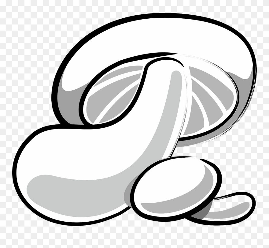 Biology Clip Art Download - Mushroom - Png Download