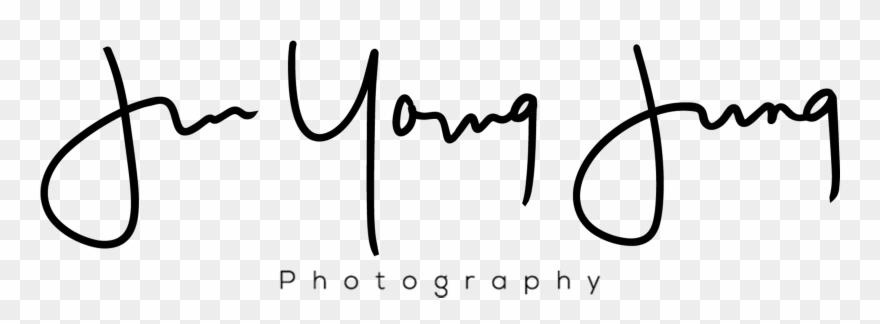 Photography Clipart