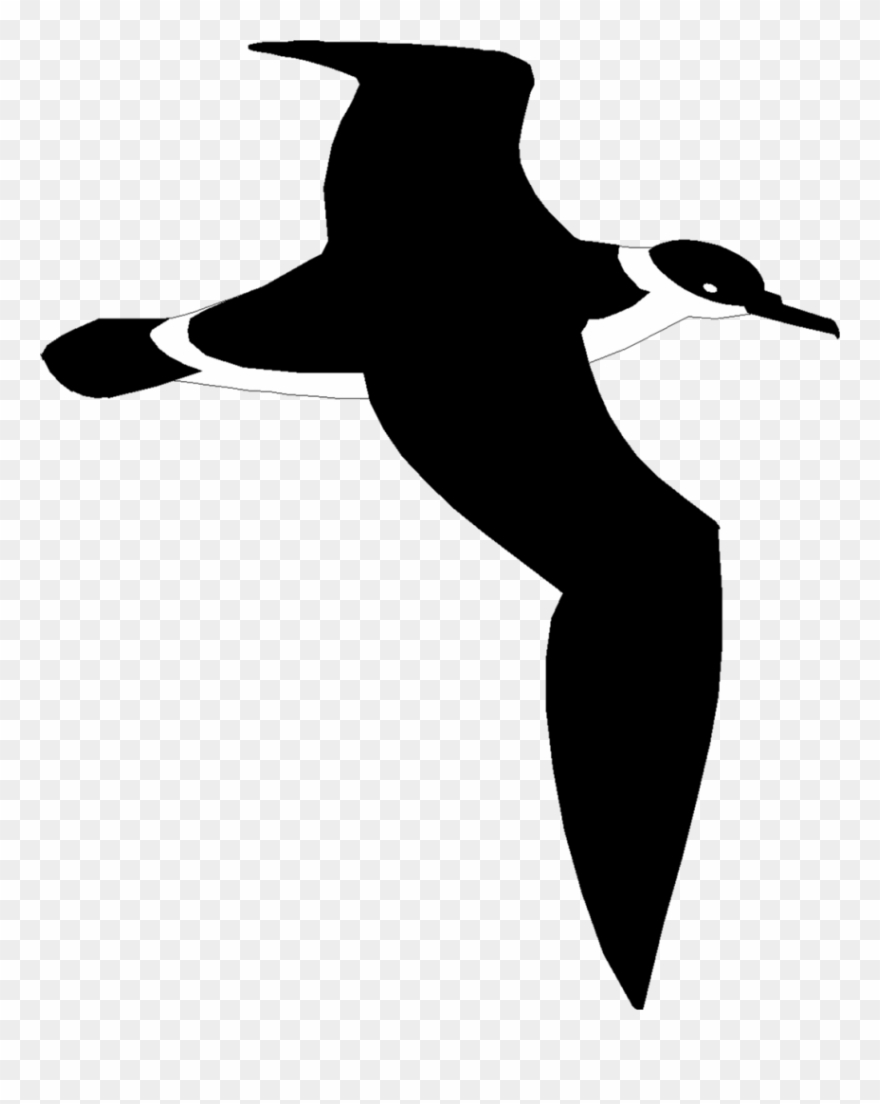 Shearwater Boats - Boat Clipart