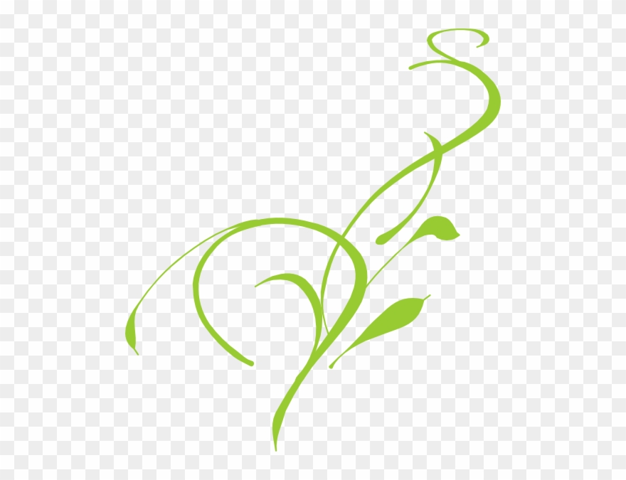 Vine Clip Art - Png Download