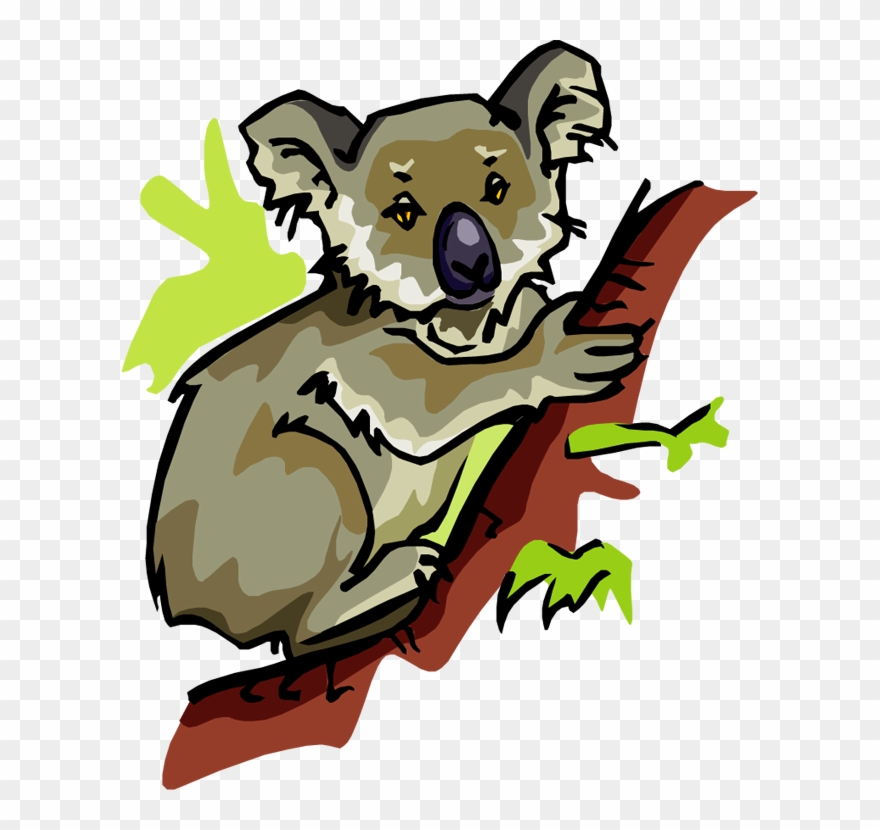 Koala Clipart Images - Koala - Png Download