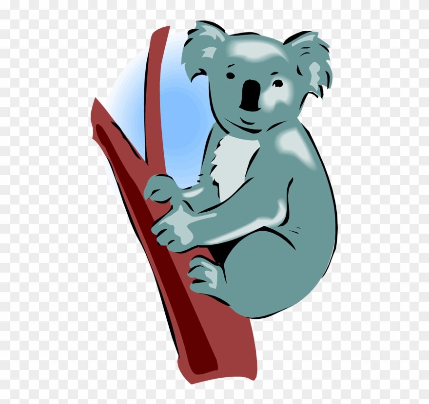 Koala Clipart Images - Koala - Png Download