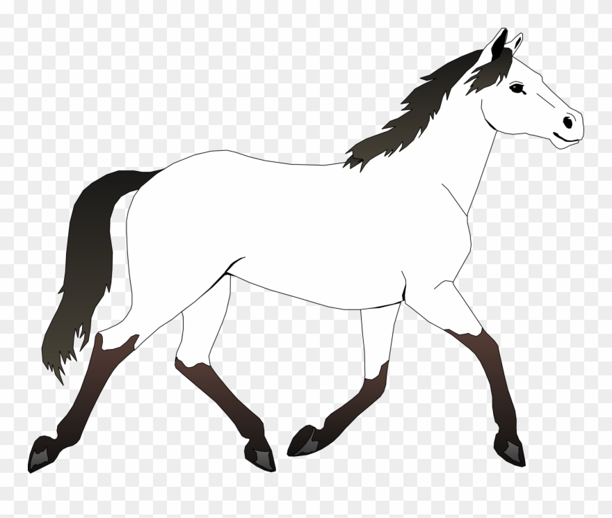 Horse Black White Line Art Coloring Sheet Colouring - Horse Outline Coloring Pages Clipart