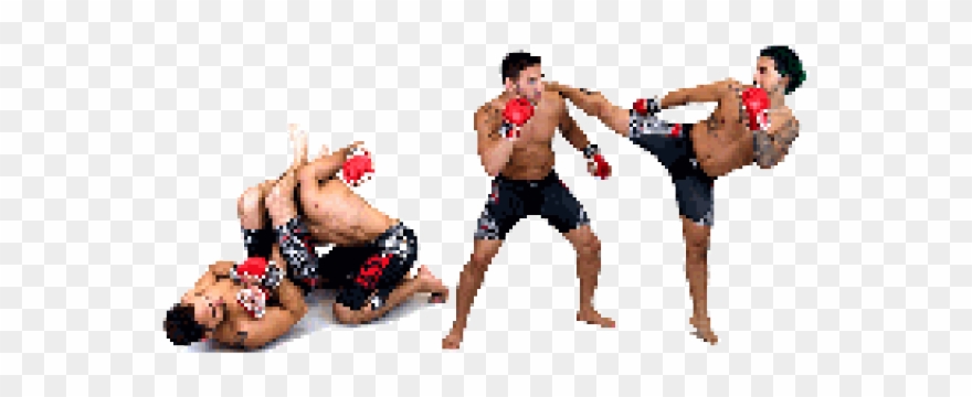 Mixed Martial Artist Clipart Transparent - Photography - Png Download