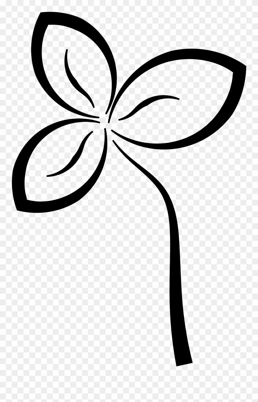 Flower Black And White Hd Background Wallpaper 47 Hd - Clip Art - Png Download