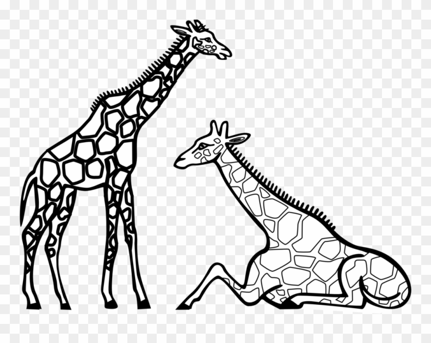 Cute Elephant Clipart Black And White Zebra Giraffes - Colouring Picture Of A Giraffe - Png Download