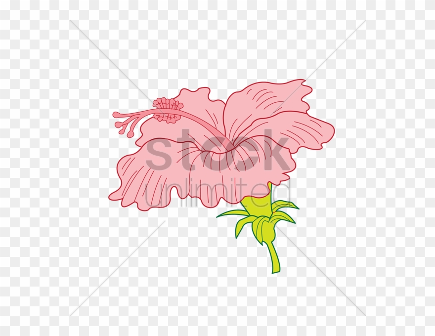 Petal Clipart Floral Design Visual Arts Clip Art - Shoeblackplant - Png Download