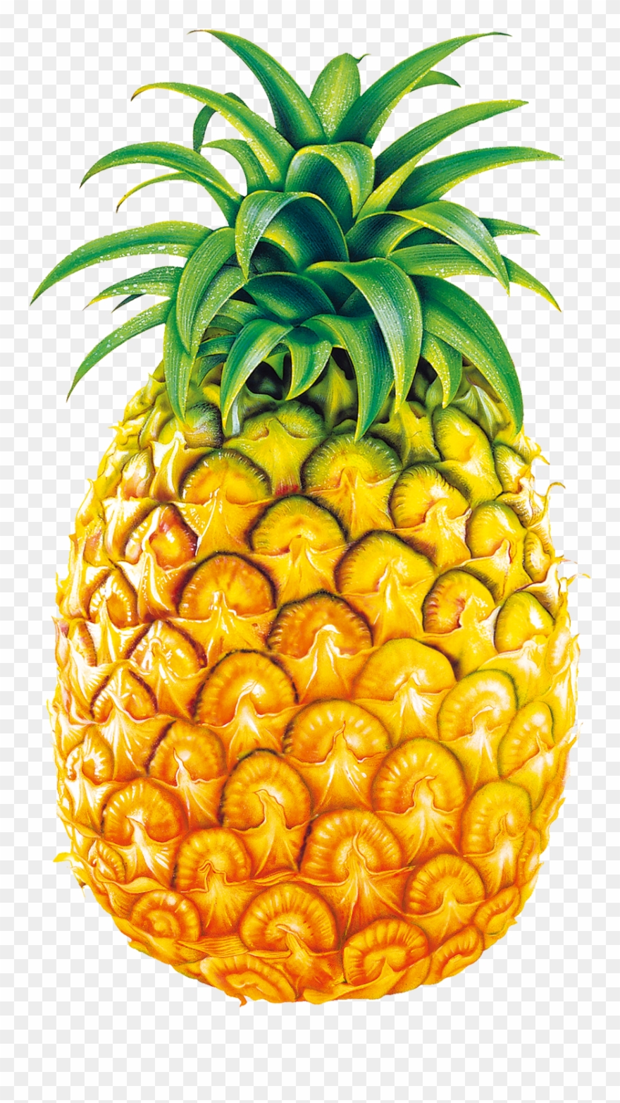Svg Royalty Free Juice Fruit Bromelain Clip Art Big - Legend Of Pineapple Short Story - Png Download