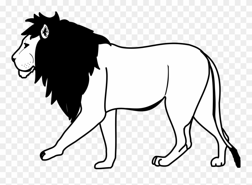 Drawn Lion Artwork Black And White - Lion Clip Art Black And White - Png Download
