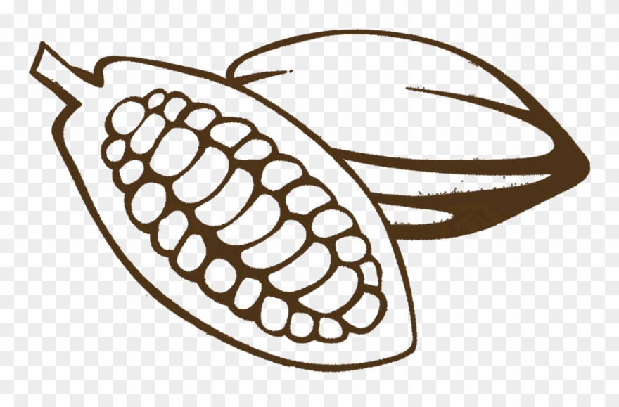Bean Tasting Notes - Clip Art - Png Download