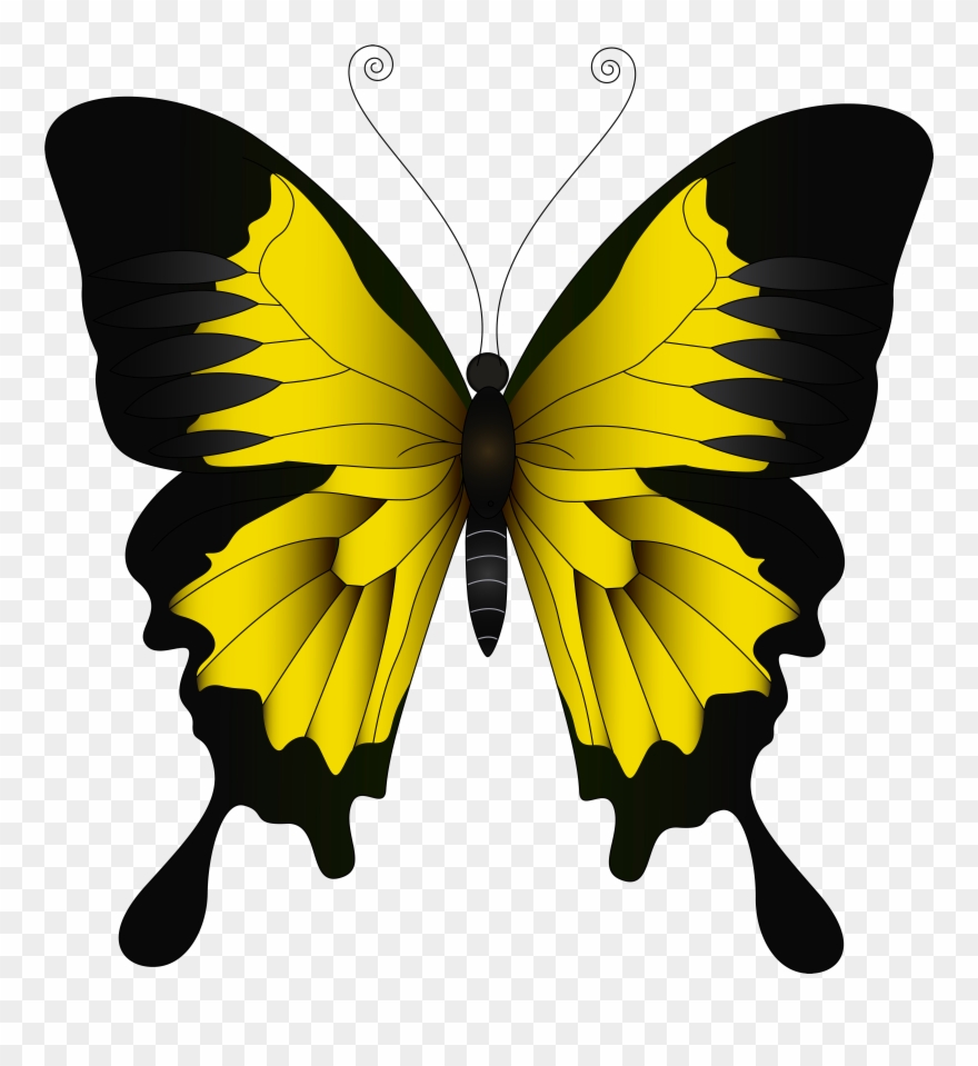 Yellow Butterfly Clipart - Png Download