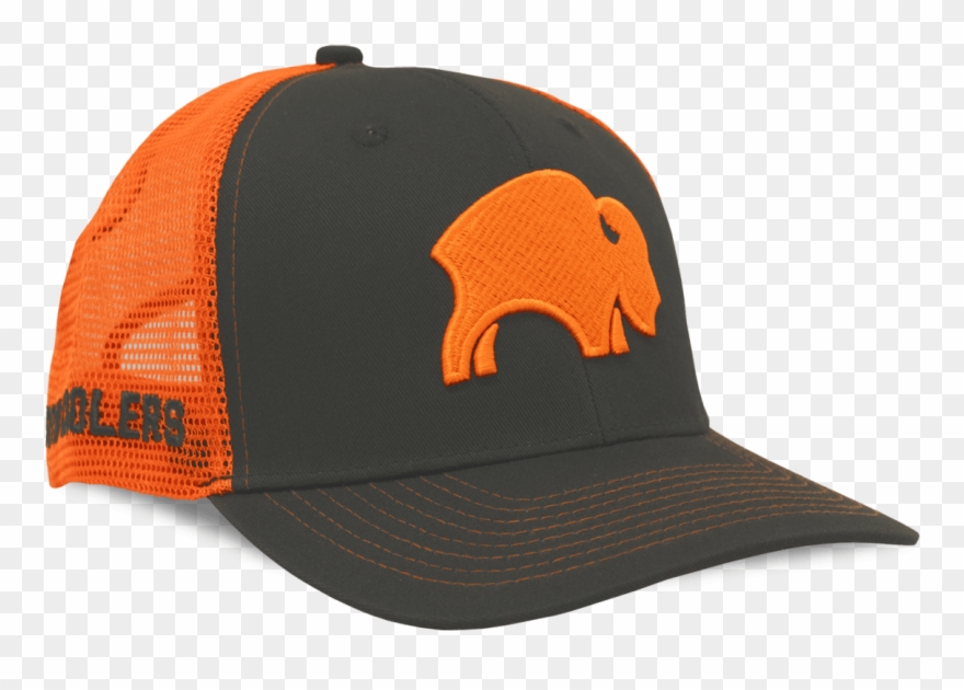 Bison Cap Clipart