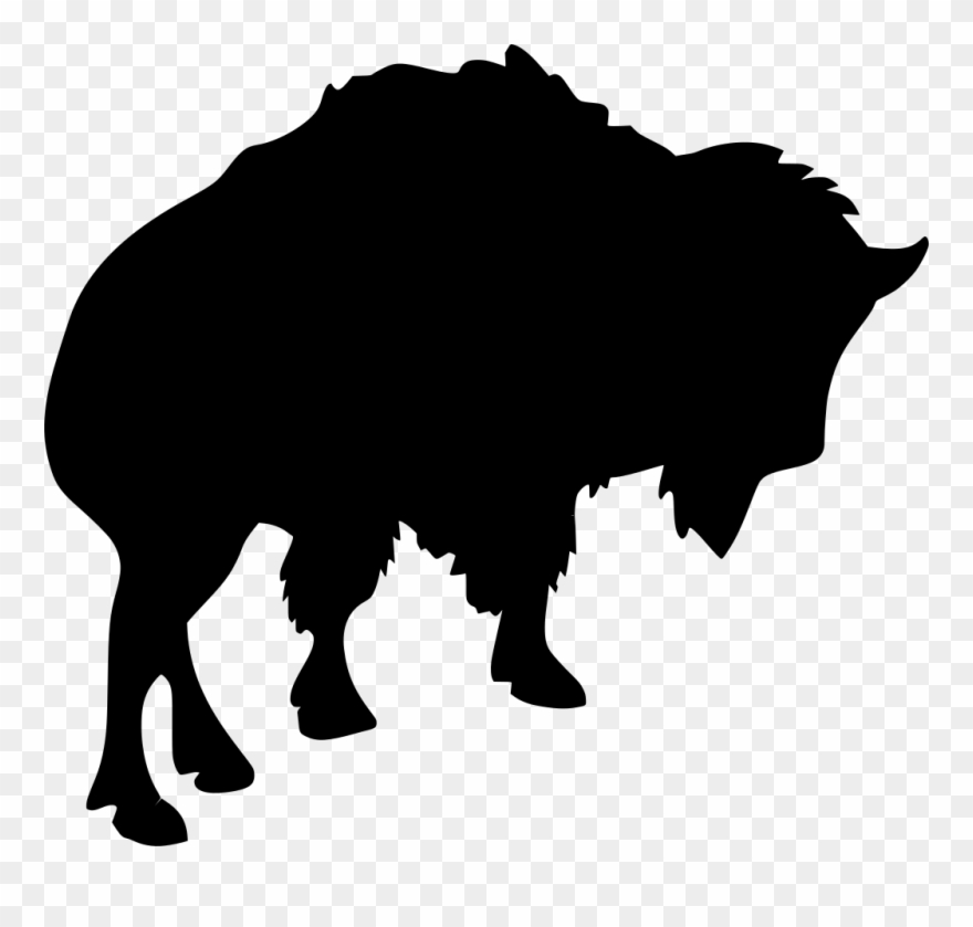 Info - Bison Clipart - Png Download