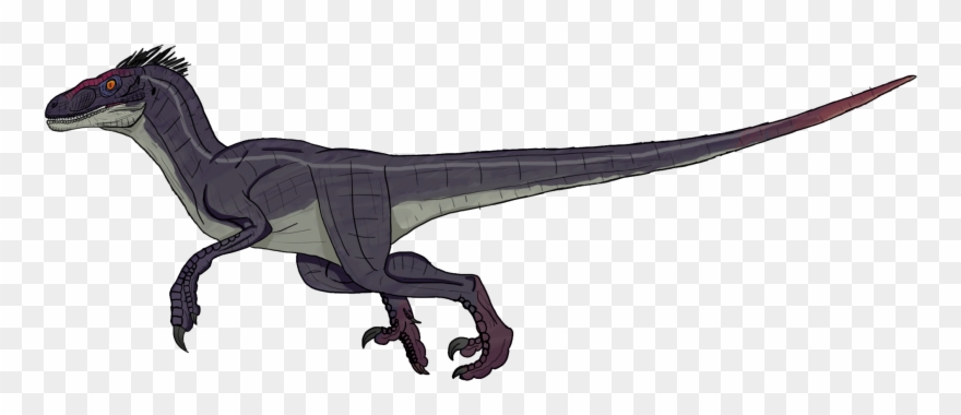 Jurassic Park 3 Male Velociraptor Clipart