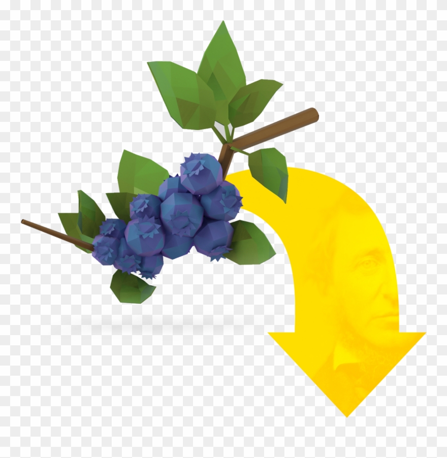Scroll To Explore The Connections Between Thoreau, - Blueberry Clipart