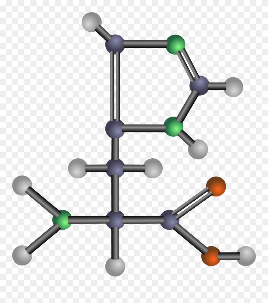 Amino Acids Clipart - Png Download