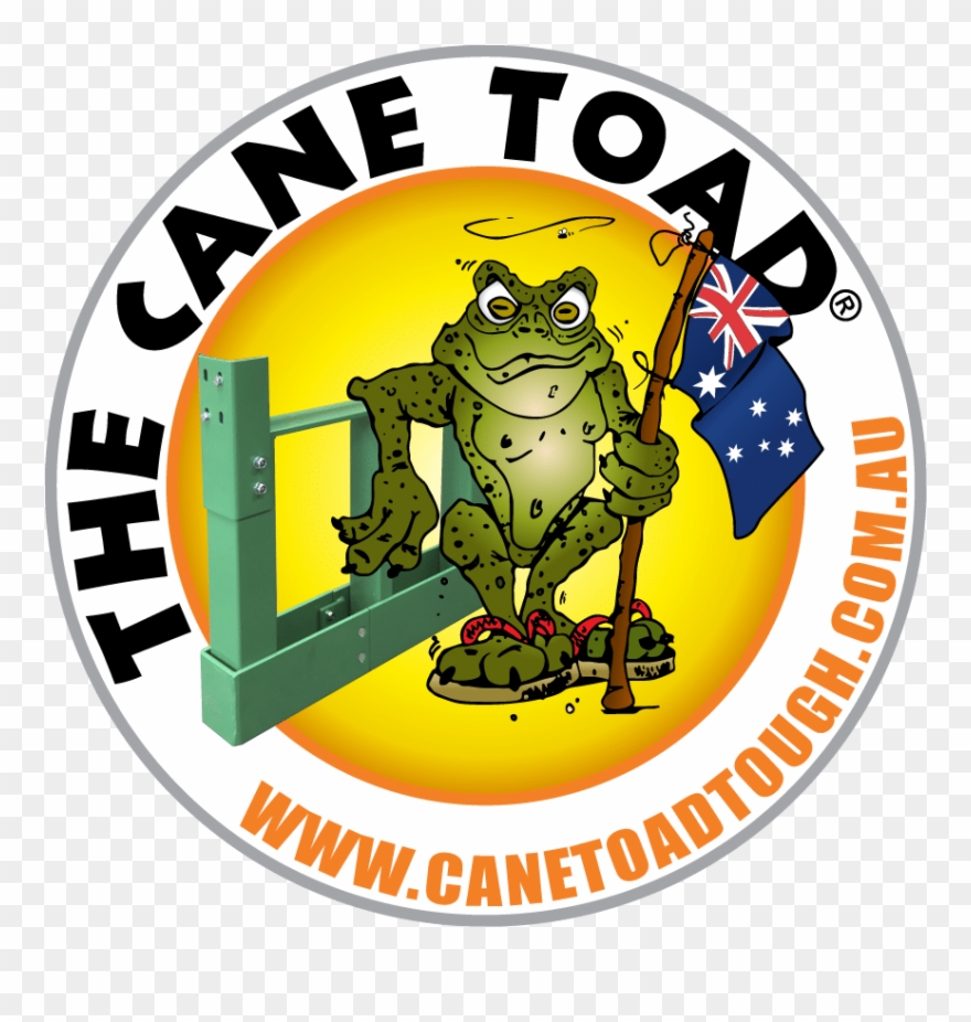 Amphibian Clipart Cane Toad - Cane Toad - Png Download