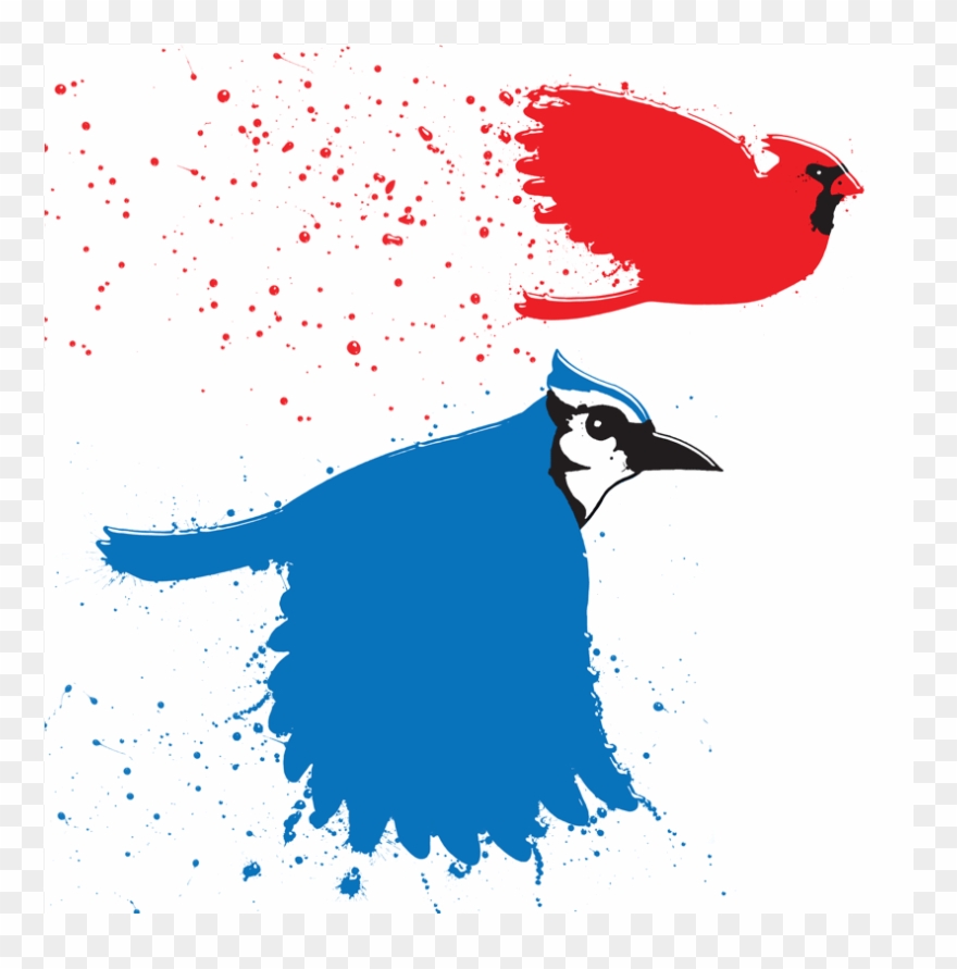 The Very Different Ways Cardinals And Blue Jays Get - Blue Jay Bird Gif Clipart