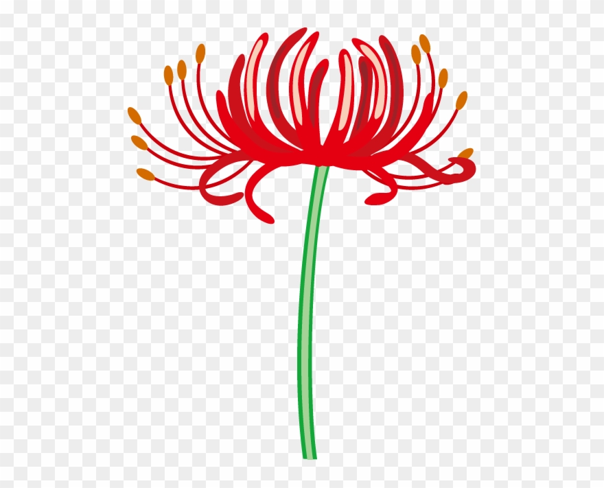 Jpg Black And White Red Spider Lily Floral Design Flower - 彼岸花 素材 イラスト フリー Clipart