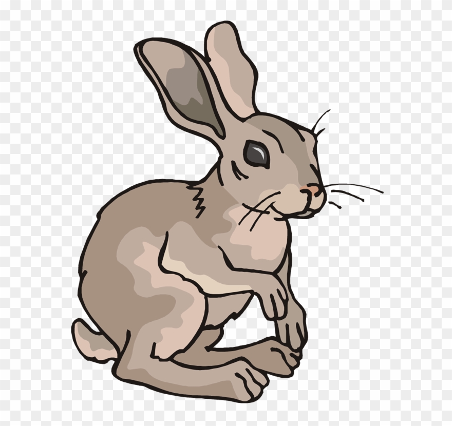 Cartoon Hare Clipart