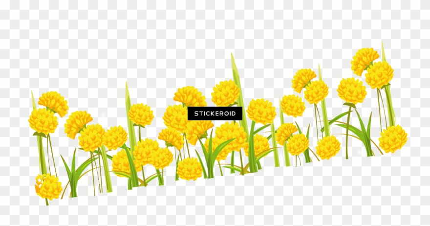 Dandelion - Dandelion Png Clipart