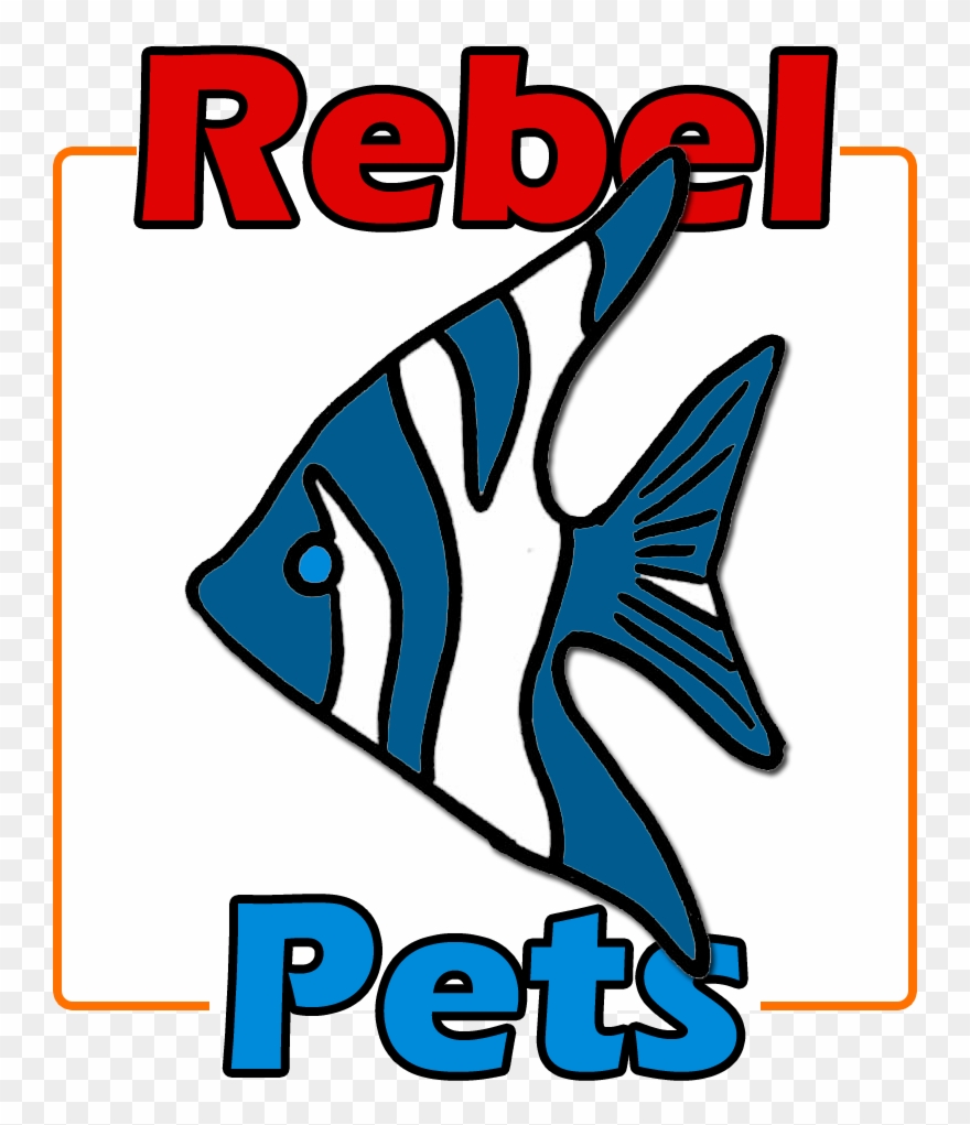 Hikari Blood Red Parrot+ Clipart
