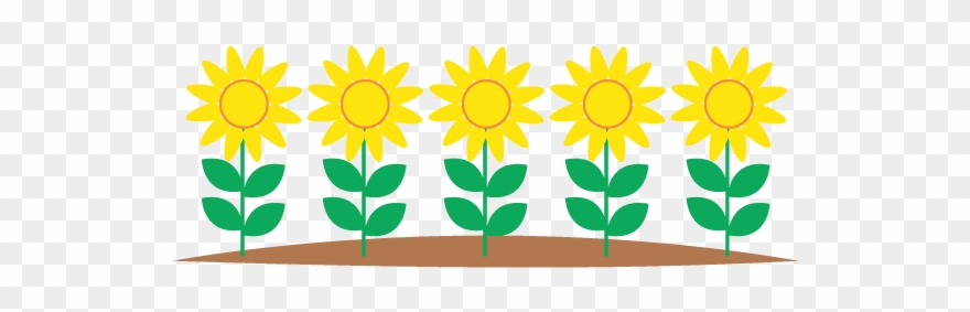 Tulip Flower Bed - Drawing Clipart