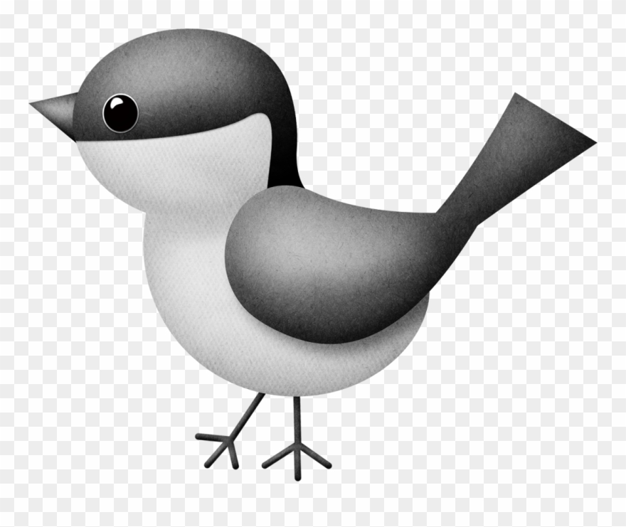 B *✿* Bird Illustration, Bird Watching, Bird Cage, - Clip Art - Png Download