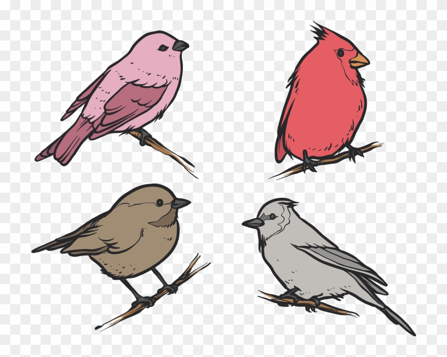 Picture Library Library Bird House Clip Art Flat Four - Drawings Of Winter Birds - Png Download