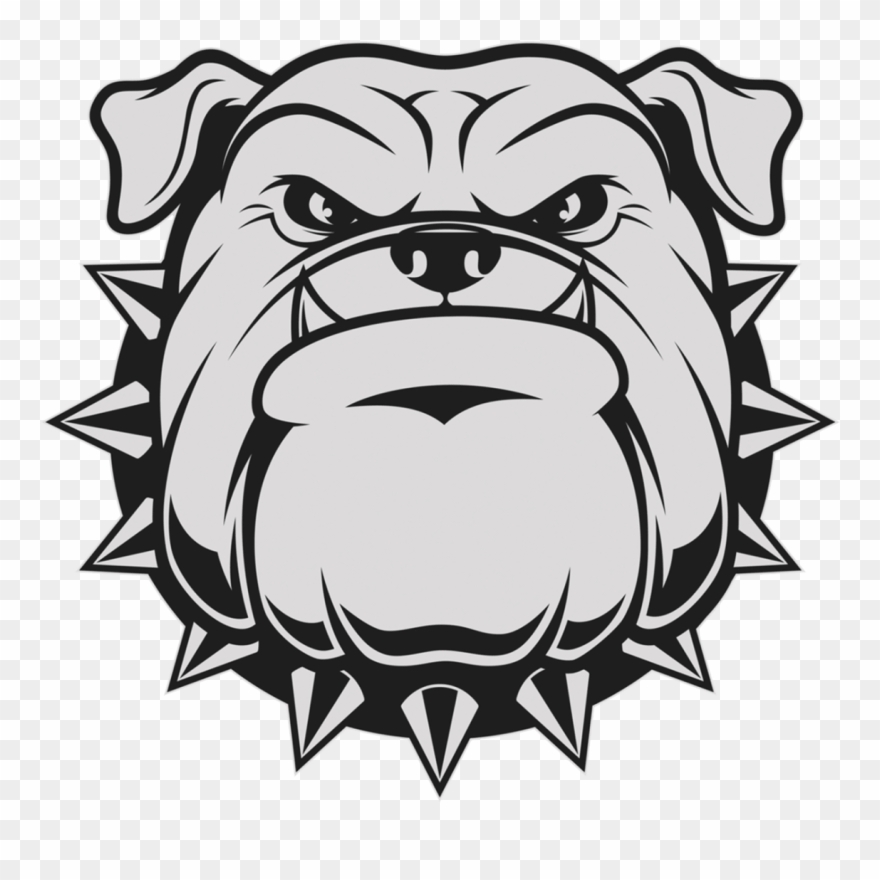 Add Watermark Or Text Logo Or Remove Background From - Bulldog Head Vector Png Clipart