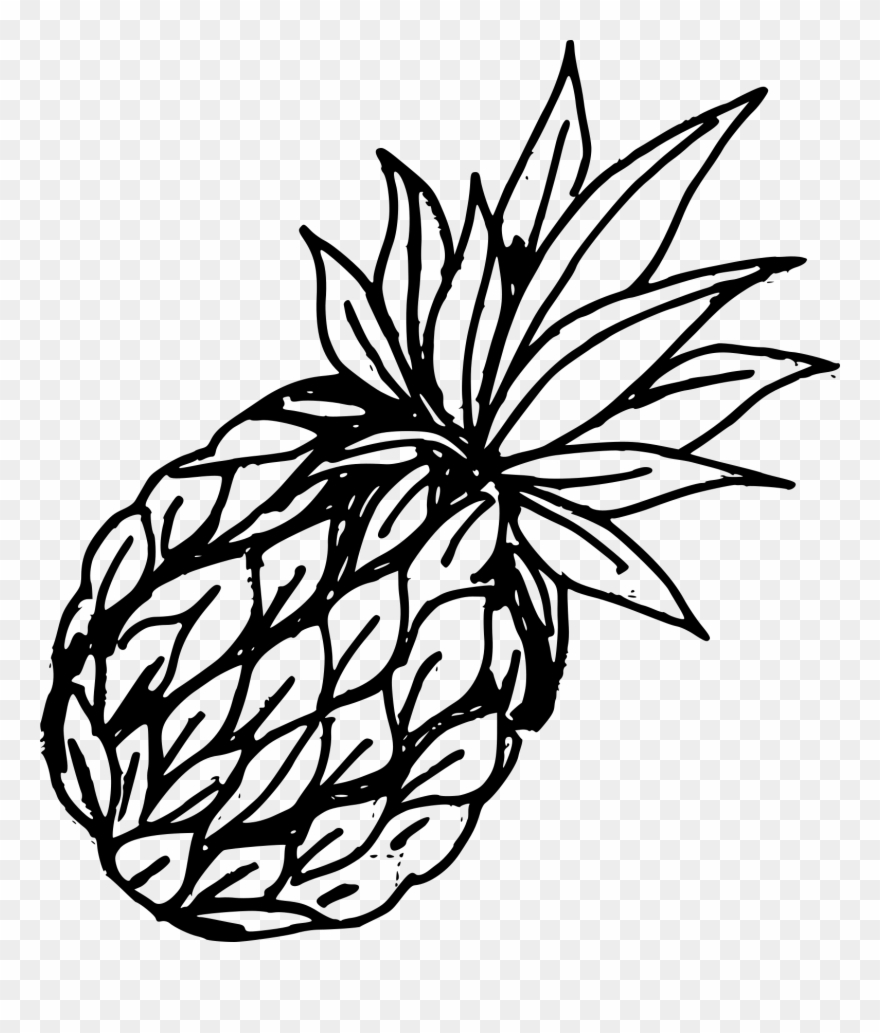 Free Download - Png Vintage Pineapple Drawing Clipart
