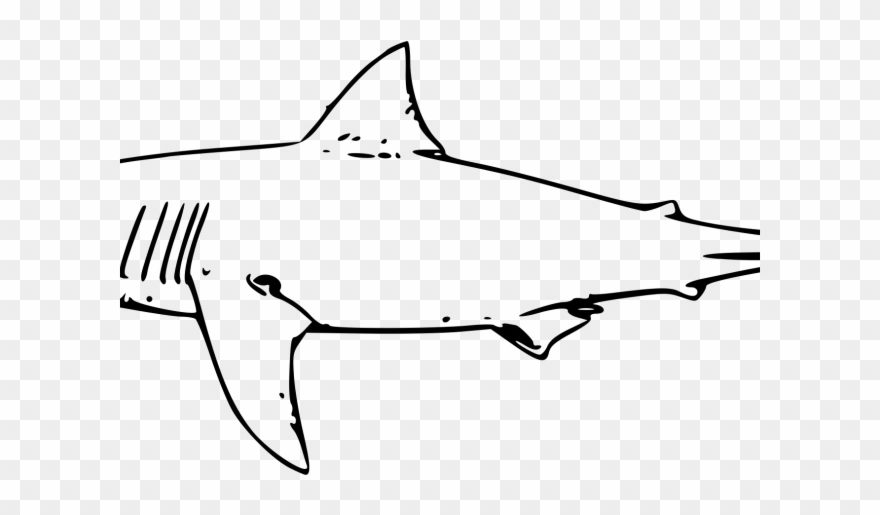 Drawn Tiger Shark Svg - Shark Drawing Black And White Clipart