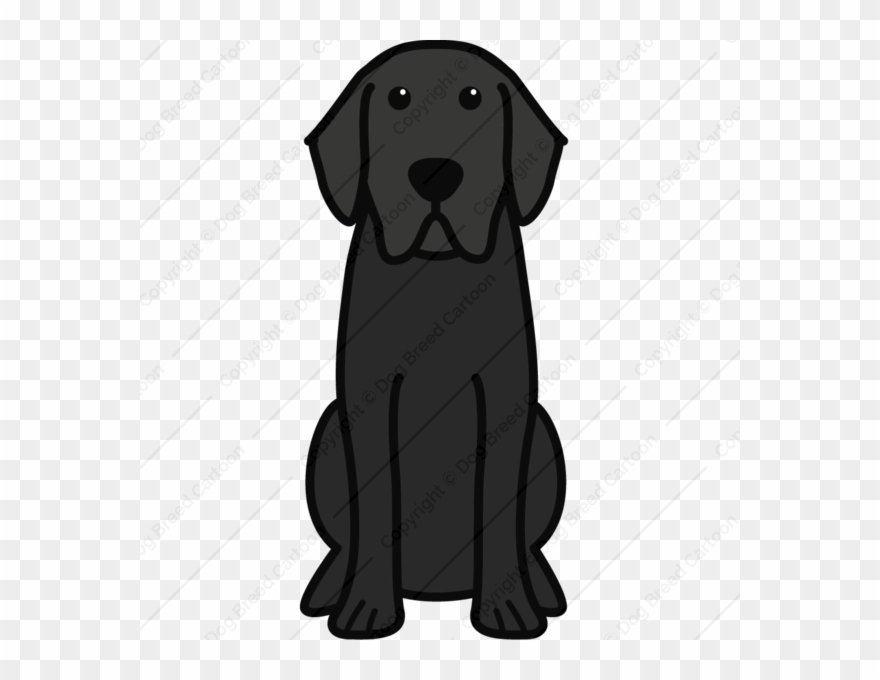Labrador Retriever - Cartoon Chocolate Lab Drawing Clipart