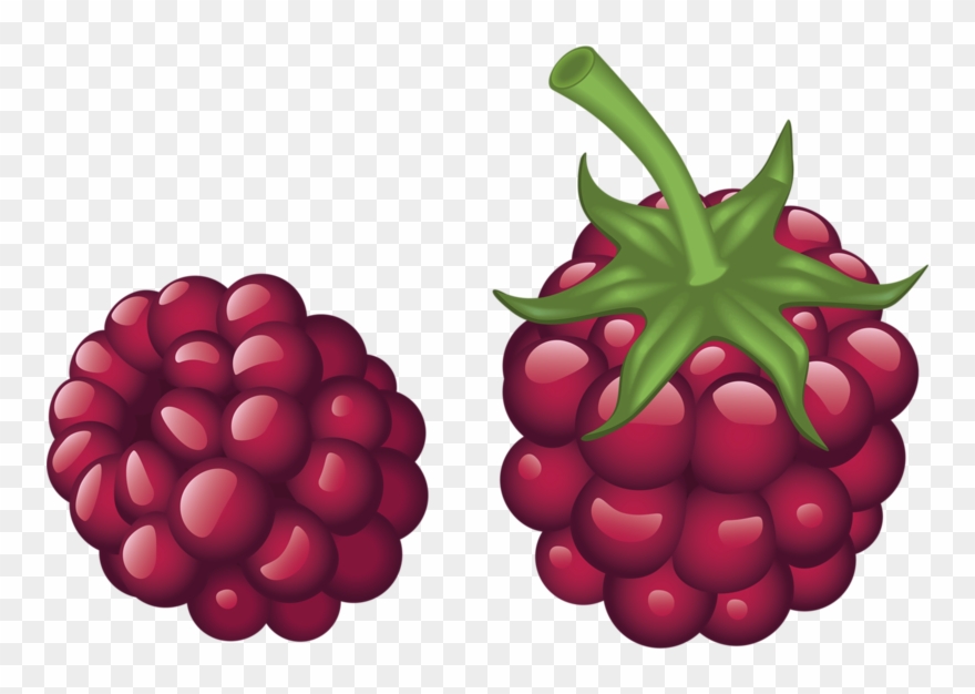 Image Black And White Stock Free Clipart - Dessin D Une Framboise - Png Download