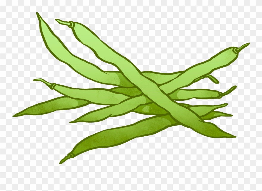 Cartoon Beans Black And White - Green Beans Clipart - Png Download