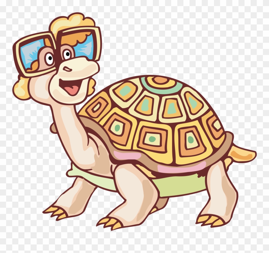 Картинка В Png - Turtle Clipart