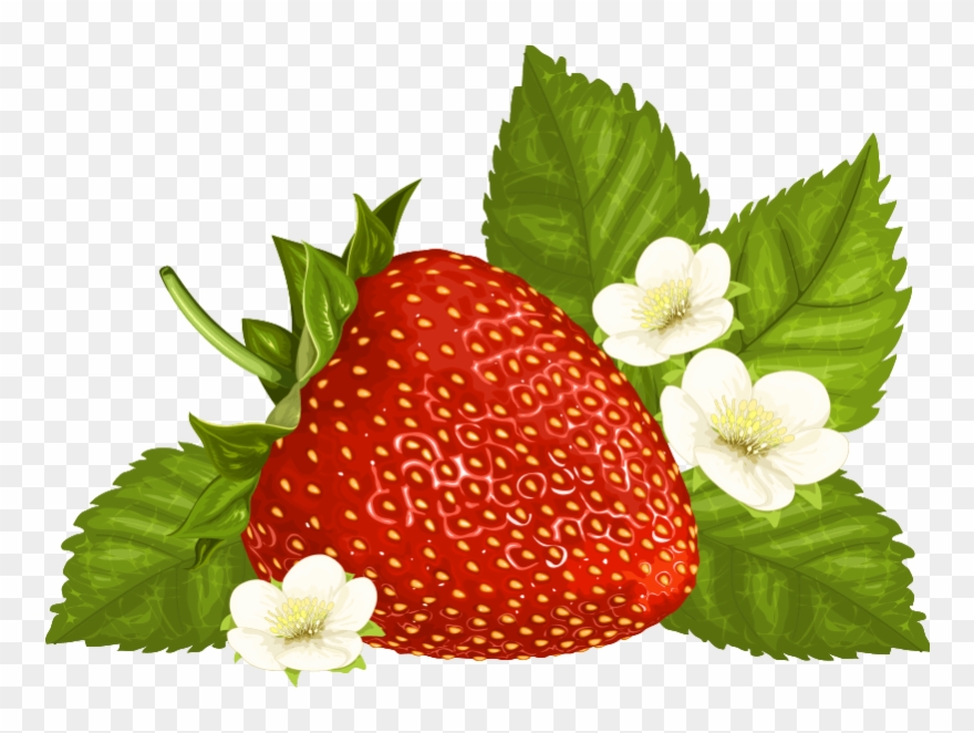 Strawberry Clipart