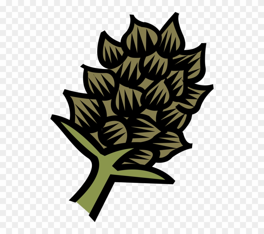 Vector Illustration Of Botanical Horticulture Exotic Clipart