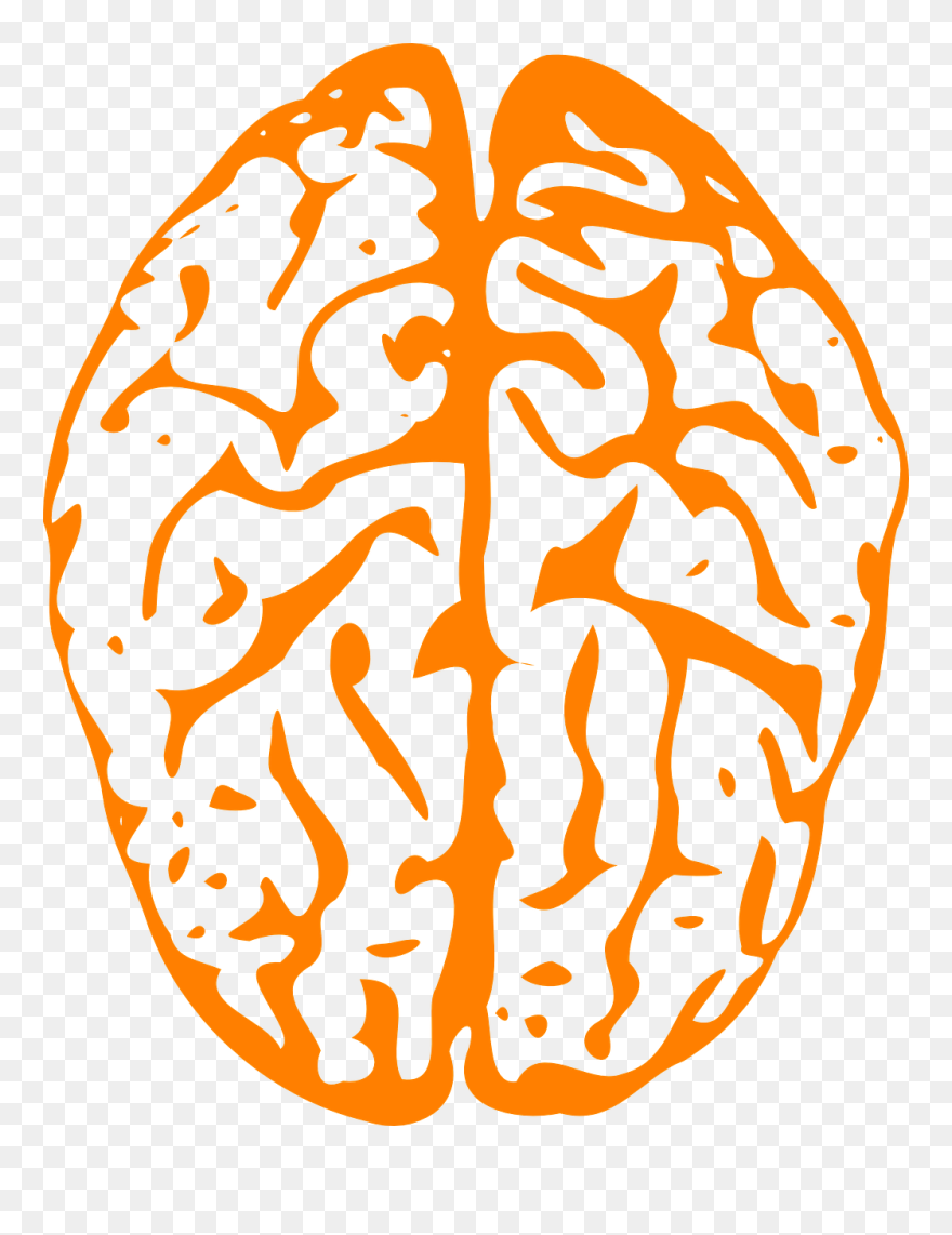 3 Theories About The Teenage Brain - Transparent Background Brain Clipart - Png Download