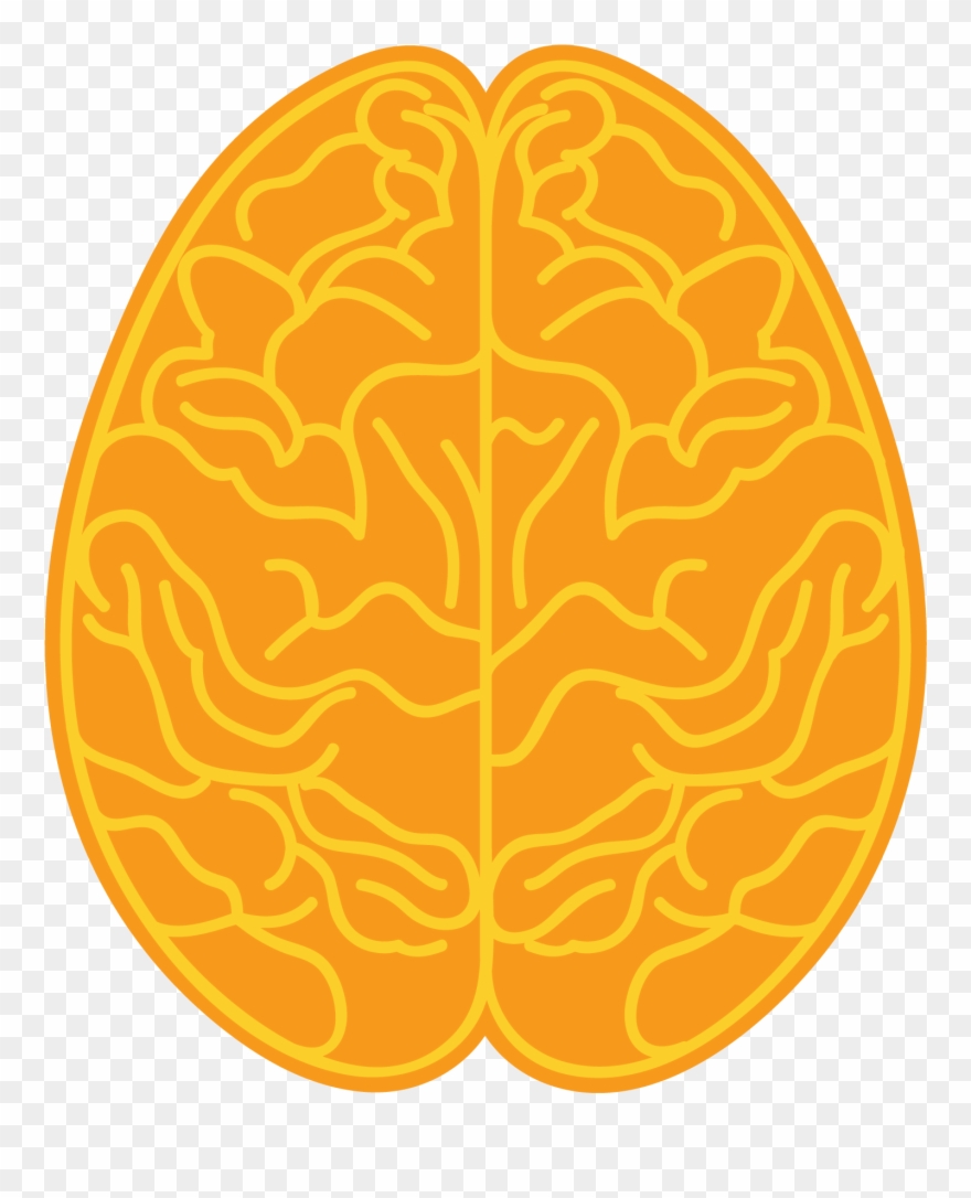 Right Brain Clipart