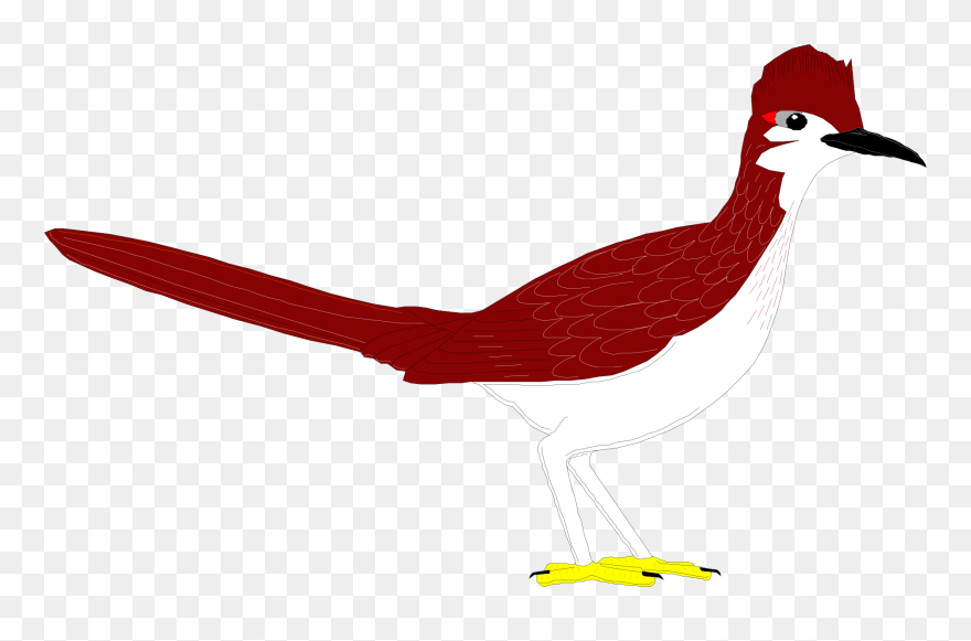 Clipart Birds Roadrunner - Road Runner Clip Art - Png Download