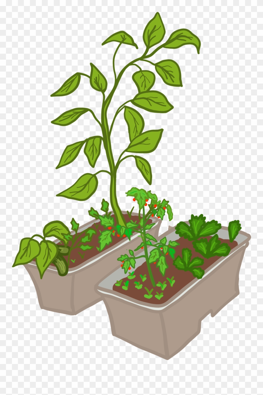 What Is A Vermi-composting Kit - Flowerpot Clipart