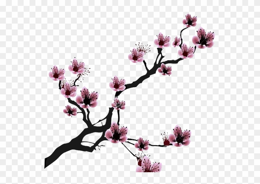 Cherry Blossom Drawing Clip Art - Cherry Blossom Black And White Drawing - Png Download